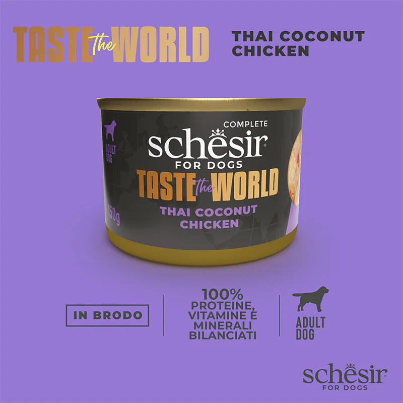 Chicken Thai Coconut in brodo 150g in lattina - Image 9