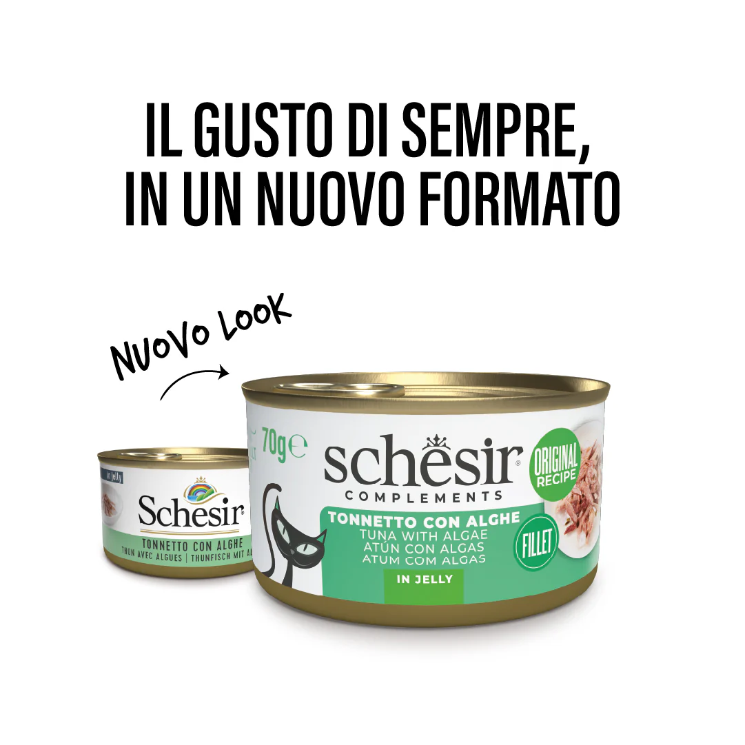 Tonnetto con alghe in gelatina - Image 3